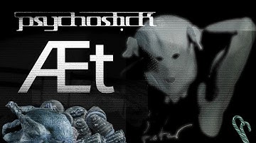 Æt - Psychostick (TOOL Ænema Christmas Parody) Music Video