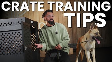 Top Tips for Crate Training