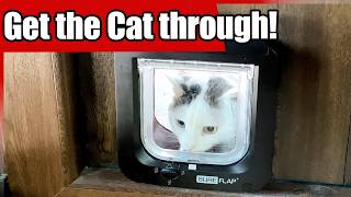 How To Install SureFlap AND Get Your Cat Trough It Easy!