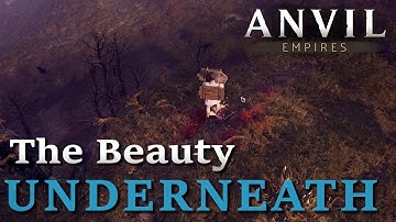 Anvil: the Beauty Underneath