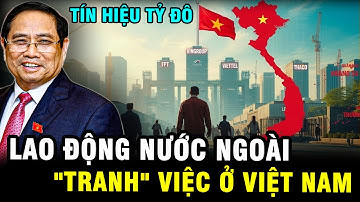 Làn Sóng Lao Động Nước Ngoài Đang Ồ Ạt đổ về VN - Tài Sản Nào Sẽ Tăng Bằng Lần?