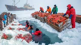 GIANT KING CRAB CAUGHT UNDER ICE — MILLIONS of LOBSTERS in One Haul!