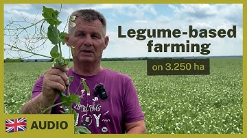 How to Get Free Nitrogen from Legumes (No Fertilizer, No Manure)