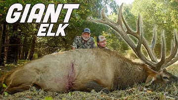 400+ inch BULL ELK!! | 2-Day Rifle Hunt