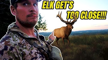 400+ inch BULL ELK!! | 2-Day Rifle Hunt