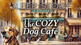 A Soothing Bedtime Story: The Cozy Dog Café in Paris