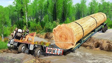 Expert Warns of DEADLY Logging Truck River Crossings