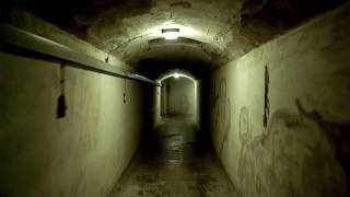 The Secret Nuremberg Notebooks