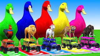 5 Giant Duck Cartoon,Cow,Mammoth,Elephant,Lion,Tiger Paint Wild Animals Crossing Fountain Animation