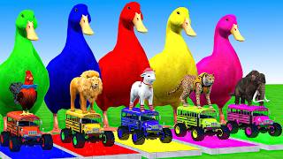 5 Giant Duck Cartoon,Cow,Mammoth,Elephant,Lion,Tiger Paint Wild Animals Crossing Fountain Animation