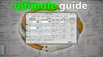 Every Natro Macro Setting Explained | Bee Swarm Simulator
