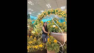 Changi Airport Sunflower Theme