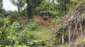 Reviving Plantation Road Infrastructure with a D6R XL Bulldozer