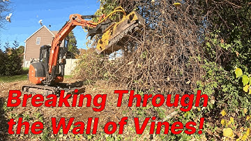 Forestry Mulching a Backyard Covered by a Wall of Vines | Time Lapse