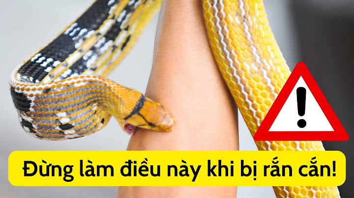 Chuyện gì xảy ra khi bị rắn độc cắn? Coi chừng mất mạng!