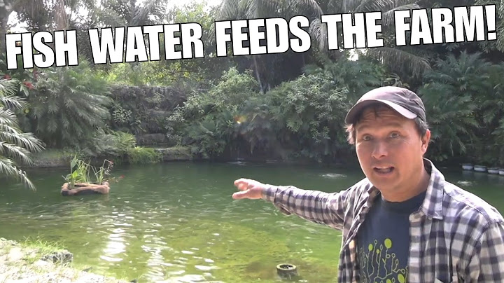 This Zero Waste, Organic, Regenerative Farm is Changing Agriculture!