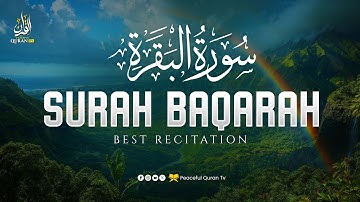 Surah Al-Baqarah Full سورة البقرة | Ultimate Most Beautiful Heart Melting Quran | Peaceful Quran TV
