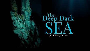 Mysterious Creatures of the Deep Dark Sea