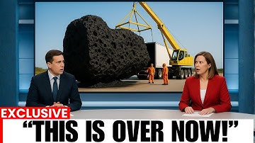 Florida heeft miljoenen genetisch gemodificeerde muggen vrijgelaten - dit is waarom