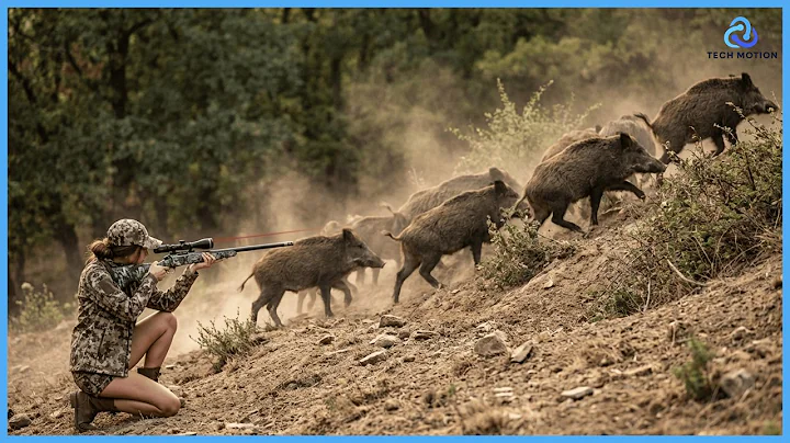 Top 50 Wild Boar Hunting - Insane Moments Hunter Takes Down Giant Hogs with Impossible Shots