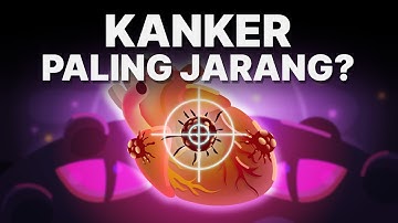 Kenapa Kasus Kanker Jantung Hampir Gak Ada?