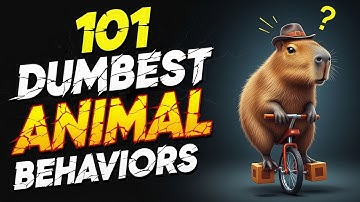 101 Dumbest Animal Behaviors That Are Straight Up Embarrassing