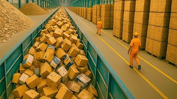 Como é feito: O Renascimento de Milhões de Caixas de Papelão na Linha de Reciclagem