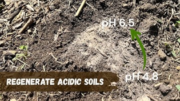 How to Regenerate Acidic Soils