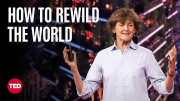 3 Tips to Make Your World Beautifully Wild | Isabella Tree | TED
