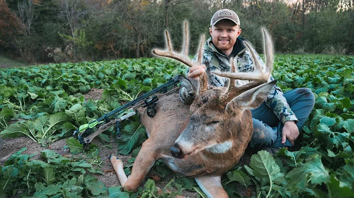 Bowhunting the PEAK RUT In Illinois