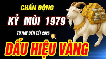 Dấu hiệu VÀNG HỐT TIỀN TỶ đúng từ này đến tết 2026 Â.L- Tuổi KỶ MÙI 1979 TRỜI ĐANG ĐỘ CỰC GIÀU