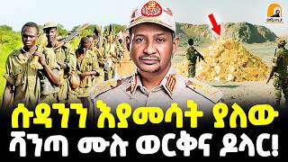 #ethiopia : ሱዳንን እያመሳት ያለው የወርቅ ሴራ! | ሻንጣ ሙሉ ወርቅና ዶላር! | የተጋለጠው የግብፅና ዱባይ ጉድ!|@Meshualekia - መሿለኪያ