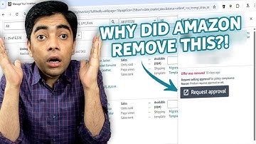 Amazon Sellers PANIC: Why Your Brand-Approved Listings Suddenly Got Removed (And How to Fix It!)