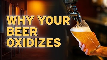 6 Things You Didnt Know About Dissolved Oxygen in Beer That Ruin Flavor