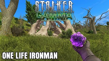 The BEST Artifact in GAMMA - GAMMA ONE LIFE IRONMAN