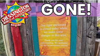 Tigers leave Chessington! Supports arrives for new coaster