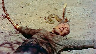 Shotgun (1955, Western Movie) with Yvonne De Carlo, Sterling Hayden | Directed Lesley Selander