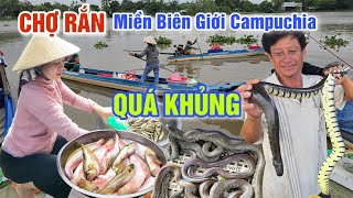 NƯỚC LŨ RÚT QUÁ NHANH RẮN KHỦNG CÁ ĐỒNG TRÀN LAN Ở VÙNG BIÊN GIỚI CAMPUCHIA - CHỢ MỘC HÓA