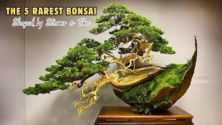 5 Rarest Bonsai on Earth | Wild Legends & Lost Trees
