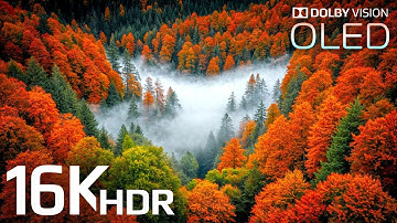 Most Stunning 16K HDR VIDEO Yet - Dolby Vision 60fps for 4K / 8K TVs