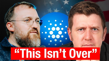 Charles Hoskinson: US Government Disrupted the Super Cycle!