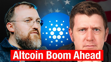 Charles Hoskinson: US Government Disrupted the Super Cycle!