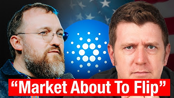 Charles Hoskinson: US Government Disrupted the Super Cycle!