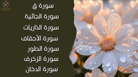 🌙 تلاوة تهز القلوب لسور الذاريات والزخرف والجاثية والطور والدخان والأحقاف | خشوع وسكينة لا توصف 💫