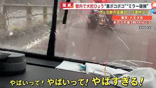 【猛威】｢うわっやばすぎる｣突然都内で猛スピードの大粒ひょう…車はボコボコ、ミラーも破損【めざまし８ニュース】