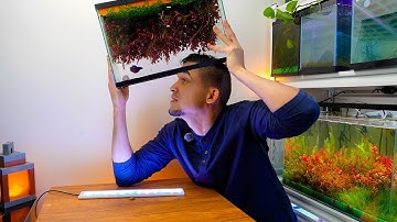 I Flipped My Aquarium Upside Down... yes really