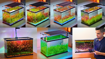 Why We’ve Been Building Aquariums Wrong