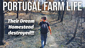 Their Dream Portugal Homestead Destroyed by Fire!!! | Full Property Tour & Recovery Journey