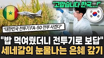 "밥 먹여줬더니 전투기로 보답" 세네갈의 눈물나는 은혜 갚기 K농업 기술 전투기로 돌아왔다 [뉴스임당]