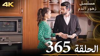 الحلقة 365 | مسلسل زهور الدم | مدبلج بالعربية | Kan Çiçekleri | جودة 4K